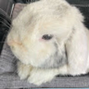 Meet your Posher, Leah